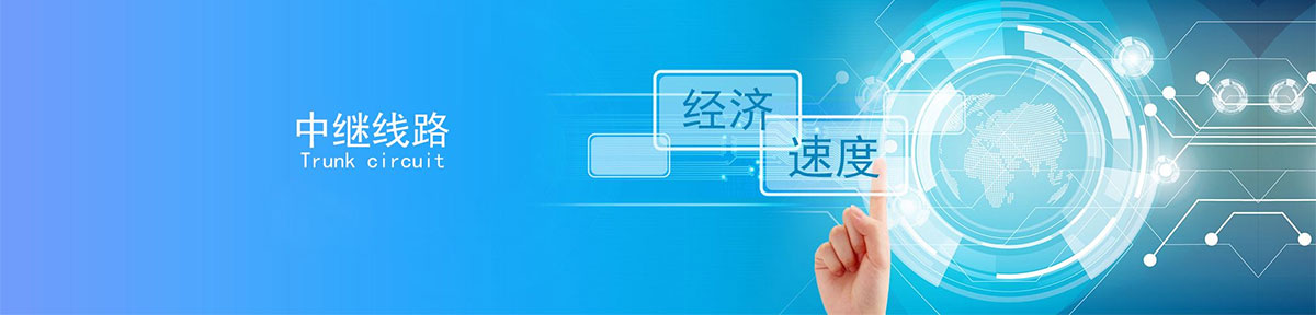 中继网关负责桥接PSTN和IP网络