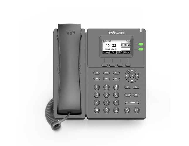 P20/P20P/P20G企业双SIP电话机