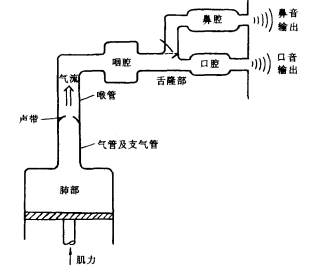声音形成过程